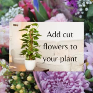 Fresh Flower Add-On for your Plant Gift
